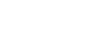 Seagull logo wit Europe